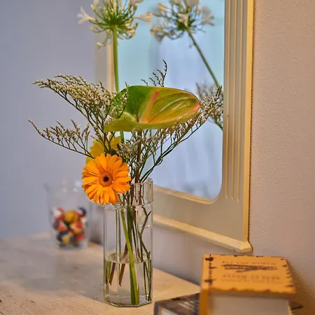 Bed & Breakfast I Terzi Di - Only