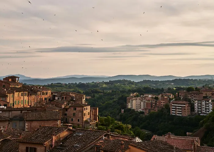 I Terzi Di - Only Bed & Breakfast Siena